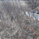 광수농장1 이미지