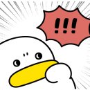 와이제이미트 이미지