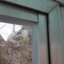 용북초등학교 이미지