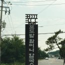 대부도바지락칼국수 | 대부도 칼국수 맛집 포도밭할머니칼국수 바지락 칼국수 후기