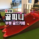 골피니