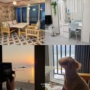 임포비치펜션 | 강원도 고성 바닷가펜션 오션뷰 발코니 파티룸 후기 애견동반 여행