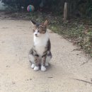 귤꽃스테이 이미지