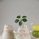 플라워캣 이미지