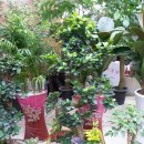 대아약업사 이미지