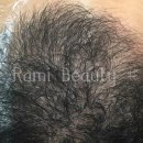 라미헤어 이미지