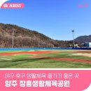 장흥생활체육공원 축구장 | 서울 근교 야구장 축구장 대관 장흥생활체육공원 둘러보기