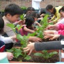 새터지역아동센터 이미지