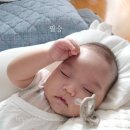 스피드메이트 이마트트레이더스 수원점 | 동탄 이마트, 트레이더스 수원, 동탄 롯데백화점 문화센터 수강신청 후기