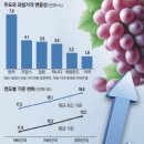 매경이 전하는 세상의 지식 (매-세-지, 6월 24일) 이미지