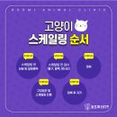 형곡동물병원 이미지