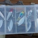 나사블루윙피싱 이미지