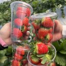 이전덕 농장 이미지