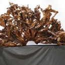 경상남도산림박물관 이미지