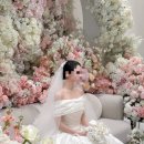 베르디플라워 | [인천 아이폰 스냅] ‘베르디스냅’ 계산CN 내돈내산 계약 후기💍(가격 및 할인 이벤트)