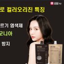 하라힐즈 티스토리