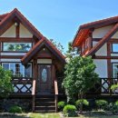 제주조이랜드 이미지