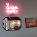 다모아 빨래방 이미지