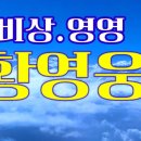 비상(원곡:임재범).영영(원곡:나훈아)//황영웅 이미지