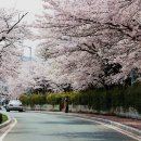 유꽃보다