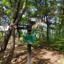 목상동 솔밭길 이미지