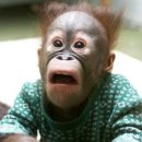 셀프 등기부등본 열람/발급하는 법 (대법원인터넷등기소) 이미지