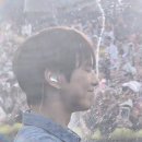 물만난 강아지 이미지