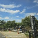 창릉초등학교 | 고양 가볼만한 곳 서오릉 탐방과 서오릉 피자