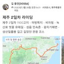 비자림H 이미지