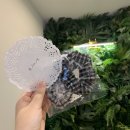 크앙분식군산수송점 이미지