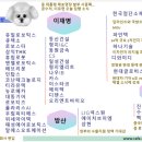 레인보우시스템즈