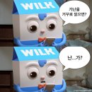 더조은관광 이미지