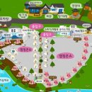 달빛 계곡 캠핑장 이미지