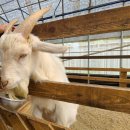 원주자연 이미지