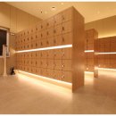 마인드휘트니스 이미지