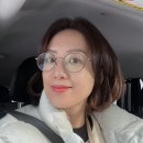 쎄미헤어 이미지