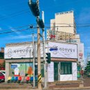 멍냥간식 이미지