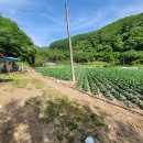 김삿갓면-37 이미지