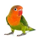 아우름 동물병원 이미지