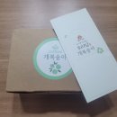 도리담