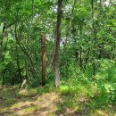 천중농장 이미지