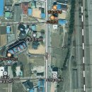 도안반점 이미지