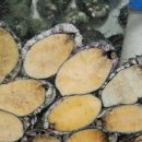 해물과조개 이미지