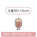 [25년 2분기] 타바타&근력A | 25년 2월 결산