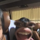 바위섬 민박 이미지