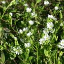 순수농장 이미지