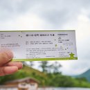 썬풀라워 | 태백으로 떠났던 여행