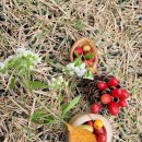 예소담유치원 이미지