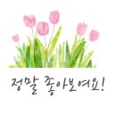 플라워카페나무기린