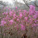 자은초등학교 이미지